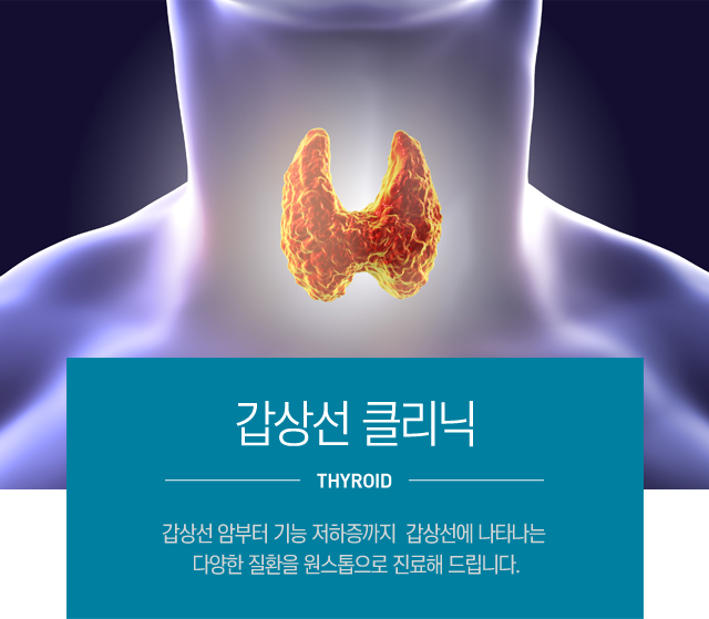 갑상선이란?